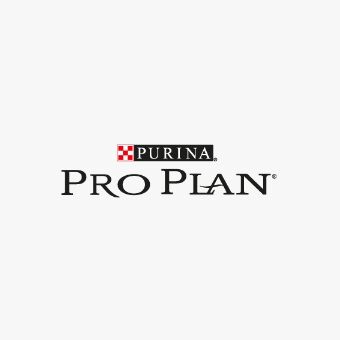 Shop Name: Pro Plan